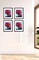 8x12 Picture Frame Black Set of 1 Pack 8x12 6x8 Inch Black Picture Frame Display Pictures 8" x 12" Rectangular Photo Picture Frame 1 Pack Black 8x12 6x8 Inch Photos Picture Frame Wall
